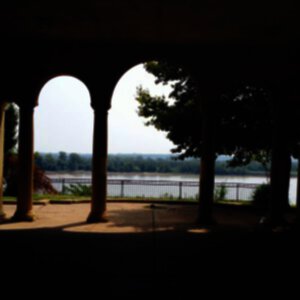 photo 3 (12)