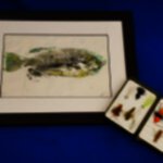 1fish
